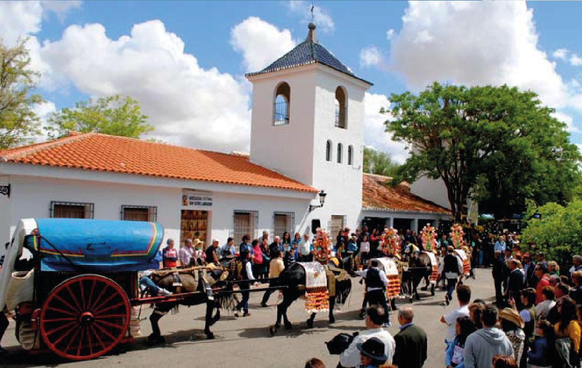 san isidro baja